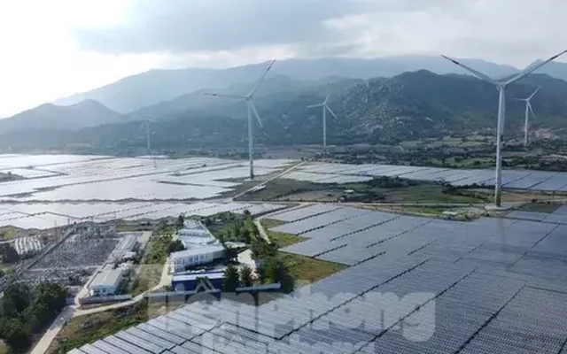 Cựu cục phó cục thuế bị khởi tố vì không truy thu 73 tỷ đồng của 2 doanh nghiệp điện mặt trời