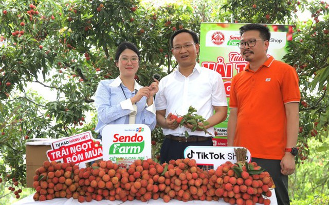 Lần đầu tiên Phó Chủ tịch Bắc Ninh livestream chốt đơn hàng chục tấn vải chỉ trong một buổi sáng