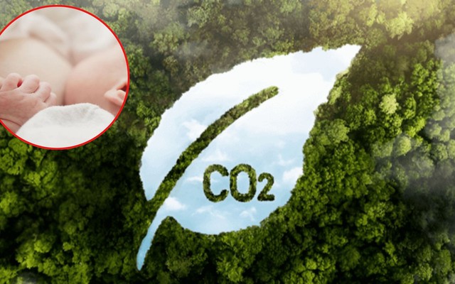 Ít ai ngờ: Cách nuôi con đơn giản, tiết kiệm này giúp giảm mạnh phát thải, được WHO khuyến khích toàn cầu