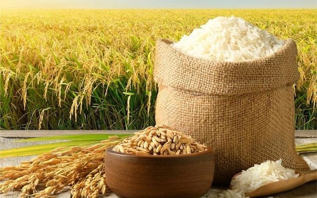 Công ty xuất khẩu gạo lớn nhất Việt Nam nhận nhiệm vụ xây siêu trung tâm logistics nông sản