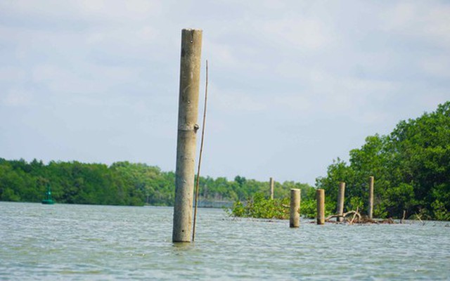 TP HCM: Bất ngờ với hàng chục cọc bê tông "mọc lên" giữa lòng sông Ba Cội