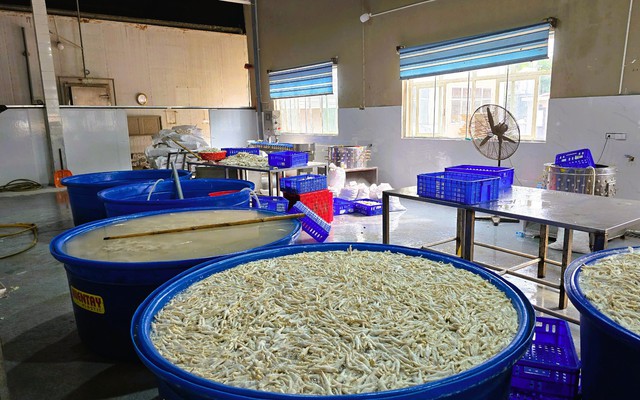 Phát hiện gần 7 tấn chân gà ngâm chất tẩy trắng