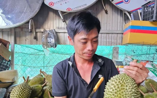 ‘Vua' của các loại sầu riêng bị chê, rớt giá thảm