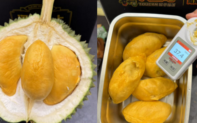 Sầu riêng ‘made in China’ sắp đến ngày hái quả: Sở hữu 1 lợi thế 'ăn đứt' Thái Lan, Việt Nam - sản lượng ra sao?