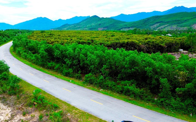 Khu rừng trăm năm tuổi ở Huế: “Báu vật tổ tiên” được ghi trong hương ước làng từ thời vua Minh Mạng