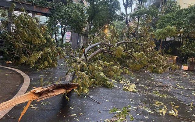 Mưa to, gió lớn ở Hà Nội và nhiều địa phương phía Bắc có phải do ảnh hưởng bão số 3?