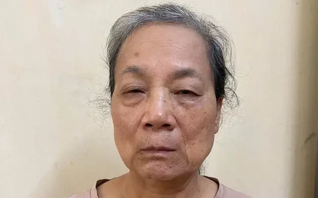 Bắt Mai Thị Hạ về hành vi lợi dụng quyền tự do dân chủ