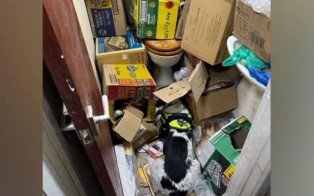 Kiểm tra bí mật 1 cửa hàng, phát hiện lượng lớn hàng giả, hàng bất hợp pháp dưới toilet: Tòa án vào cuộc