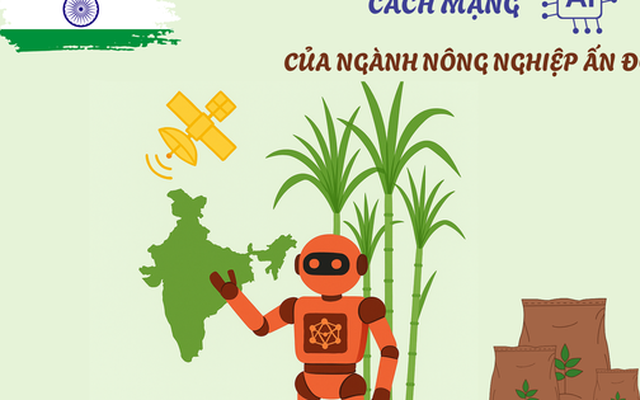 Khi loại nông sản tỷ đô của Ấn Độ gặp khó: AI, dữ liệu vệ tinh, cảm biến đất, máy bay không người lái lập tức vào cuộc