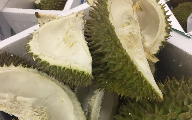 Phân bón sinh học từ vỏ sầu riêng và vỏ sò