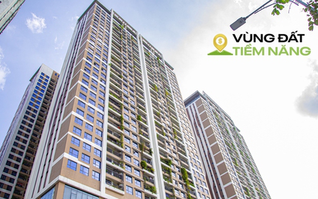 “Nhịn ăn” cả năm chỉ đủ mua 1 m2 chung cư Hà Nội