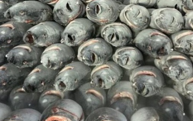 Một mặt hàng gần tỷ USD của Việt Nam chinh phục hơn 110 nước đang “gặp khó”, Thủ tướng vừa chỉ đạo gì?