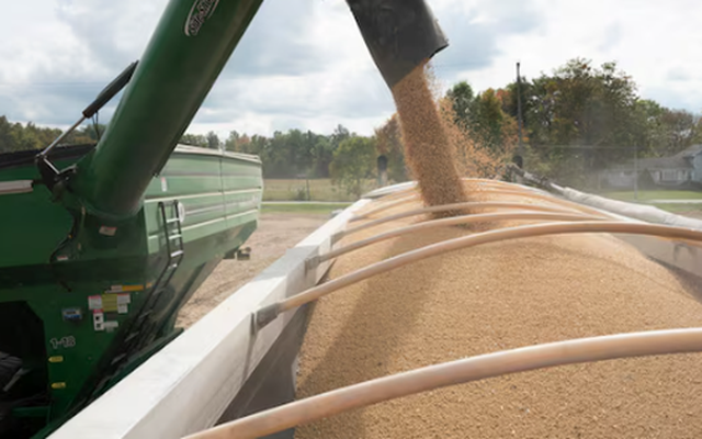 Trung Quốc dư thừa một mặt hàng, nông dân Mỹ ‘ngồi trên đống lửa’