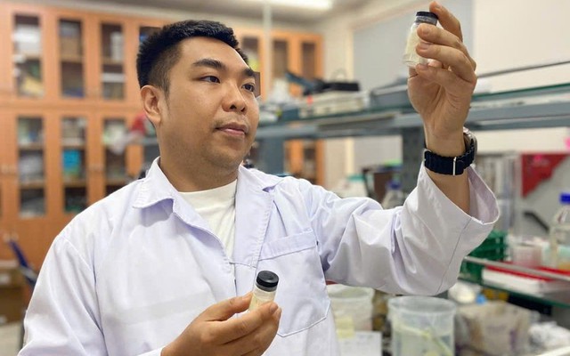 Thạc sĩ tạo khung xương nhân tạo từ… vỏ tôm, rong biển