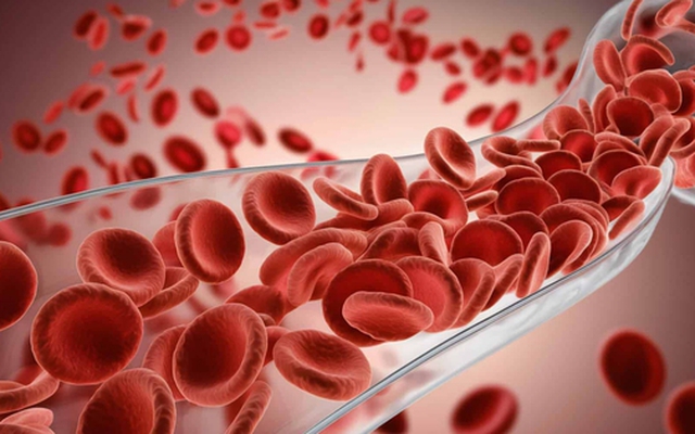 Bác sĩ Bạch Mai tiết lộ "chìa khóa vàng" để nuôi máu khoẻ: Rất dễ thực hiện nhưng ít ai để ý