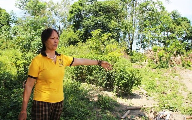 Vụ chuyển 300m2 đất vườn sang đất ở phải nộp thuế gần 4,5 tỷ đồng, Sở NN&MT tỉnh Nghệ An nói gì?