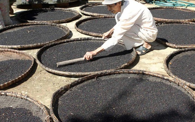 Hàng chục nghìn tấn "vàng đen" của Việt Nam ồ ạt tràn vào Mỹ, Đức, là mặt hàng VN xuất đi hơn 125 nước