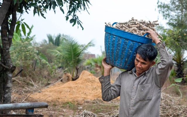 Một lĩnh vực Campuchia ồ ạt đổ về Việt Nam, hàng chục mặt hàng hưởng mức thuế  nhập khẩu 0%