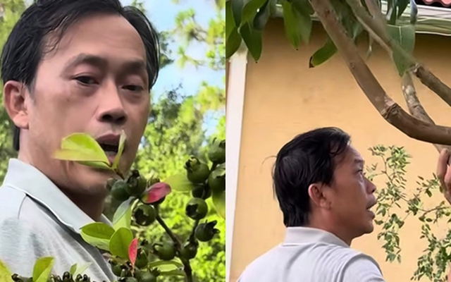 Hoài Linh thăm vườn biệt thự vài trăm m2 tại Mỹ, em trai nói: "Khác gì ở Việt Nam đâu"