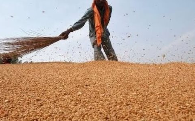 Hàng trăm nghìn tấn ‘báu vật’ từ Nga vừa đổ bộ vào Việt Nam: Thuế nhập khẩu 0%, Moscow đang là 'ông trùm' xuất khẩu của thế giới