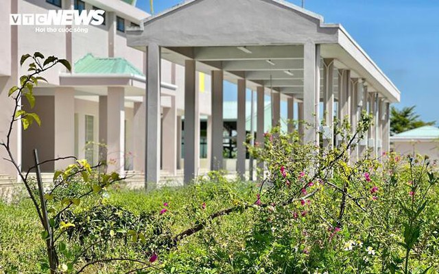 Chợ hơn 30 tỷ ở Đà Nẵng xây xong 'để ngắm'