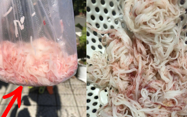 Vụ bún tươi đổi màu đỏ lòm như máu: 6 CẢNH BÁO đến người tiêu dùng để tránh "bệnh từ miệng vào"