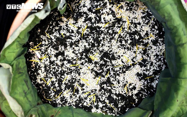 Loại trà đắt đỏ nhất Hà Nội, giá hơn 10 triệu đồng/kg được chế biến thế nào?