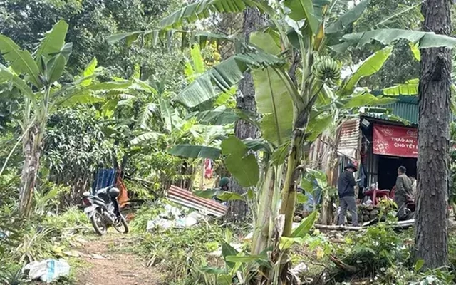 Vụ bé gái 2 tuổi mất tích bí ẩn ở Lâm Đồng: Huy động gần 100 người tìm kiếm