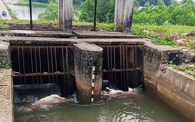 Nỗi ám ảnh của người dân Quảng Ngãi khi qua kênh B3