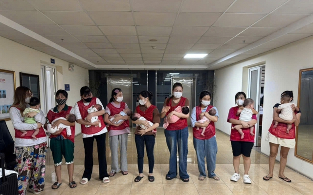 Đường dây mang thai hộ vừa bị triệt phá: Bà trùm Quách Thị Thương nhận lương 1000 USD/tháng