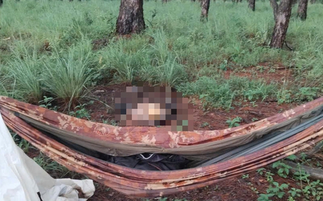 Phát hiện bộ xương người bên chiếc võng trong rừng thông