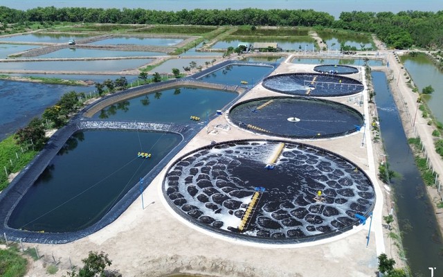 Việt Nam dẫn đầu toàn cầu về một chỉ tiêu quan trọng, là gì vậy?