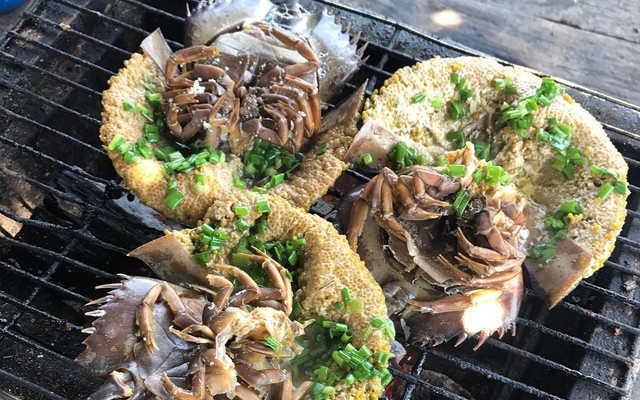 Đặc sản đắt hơn tôm, ghẹ, thuộc dạng quý hiếm ở Quảng Ninh: Bộ phận nào cũng nấu được, vị “kén người ăn”