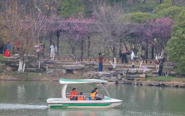 Nữ sinh 19 tuổi bị sát hại vì từ chối lời bắt chuyện làm quen của người lạ trên đường