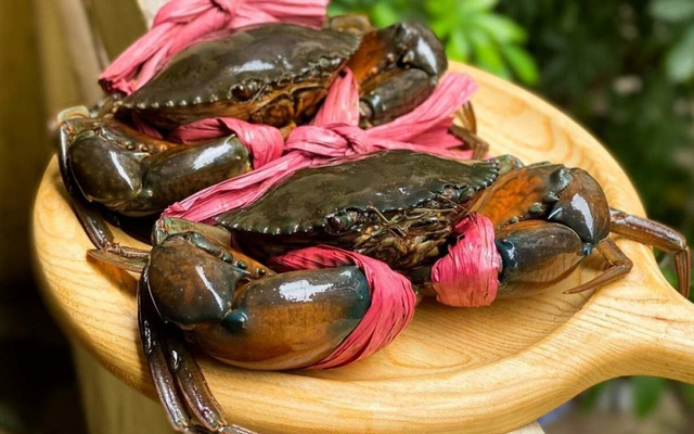 Mặt hàng Việt Nam lập đỉnh 10 năm, thị trường tỷ dân mua mạnh: Cơ hội vàng vươn mình trên bản đồ thế giới