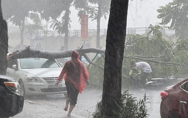 Cây đổ đè trúng người lái xe máy trong cơn mưa dông ở Hà Nội