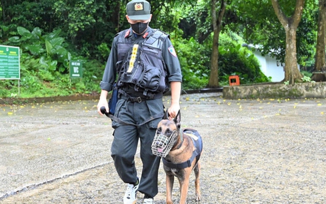 Huy động chó nghiệp vụ tìm nam du khách mất tích ở rừng Cúc Phương
