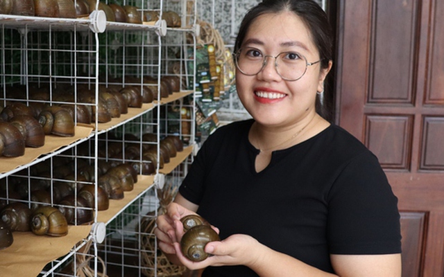 CLIP: Cô Út ở Cần Thơ nuôi ốc "ngủ đông" thành đặc sản, giá đắt đỏ