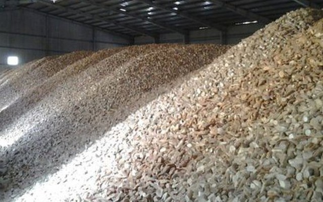 'Vựa lúa dưới lòng đất' của Việt Nam được Malaysia đổ tiền thu mua hàng nghìn tấn: Xuất khẩu tăng hơn 500%, nước ta có sản lượng 10 triệu tấn/năm