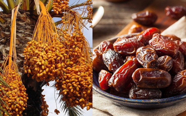 Loại quả được ví như "đường tự nhiên", ngọt mà không hại, giá rẻ hơn cherry, ăn tươi hay khô đều được