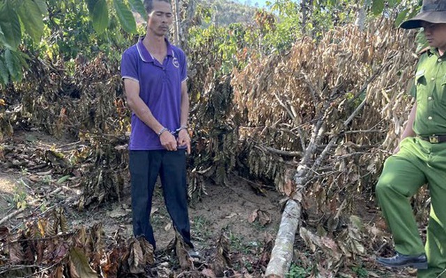 Anh rể phá vườn cây để "đòi... quan hệ với em vợ" lãnh án