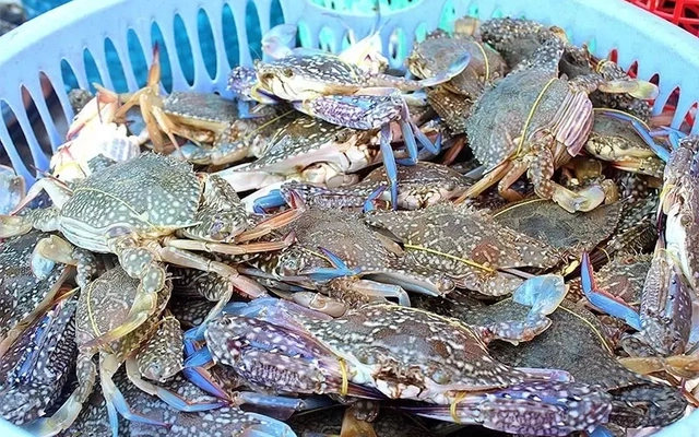 Cua ghẹ Việt Nam đắt hàng, giá cao nhất 10 năm qua