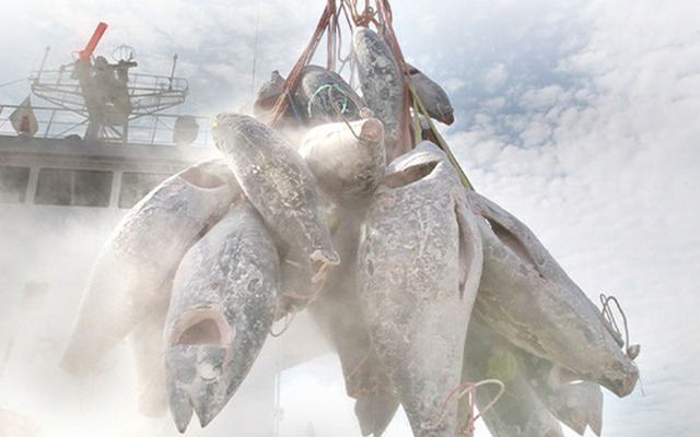 Một mặt hàng của Việt Nam được châu Âu ngày càng ưa chuộng: Thu về hơn nửa tỷ USD, nước ta đứng Top 5 'ông trùm' của thế giới