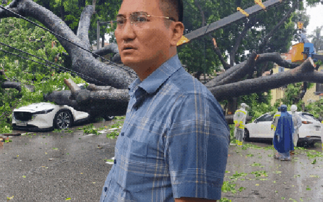 Chủ xe kể 30 giây kinh hoàng khi cây lớn bật gốc đè trúng ô tô giữa phố tại Hà Nội