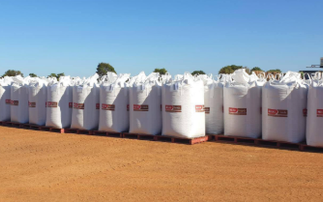 Thêm một cứu tinh từ Campuchia đổ bộ giúp Việt Nam xuất khẩu bỏ xa thế giới: Nước ta sở hữu hơn 100.000 ha, thế giới đang ngày càng khan hiếm