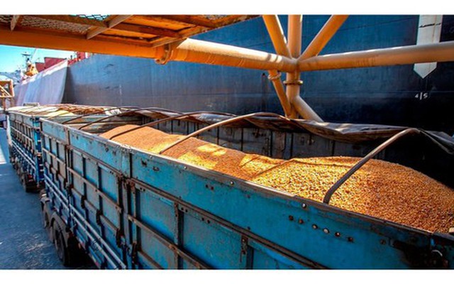 Hàng chục nghìn tấn hàng từ Lào đổ bộ Việt Nam với giá siêu rẻ - Nước ta có diện tích trồng top 30 thế giới vẫn phải chi tiền nhập khẩu