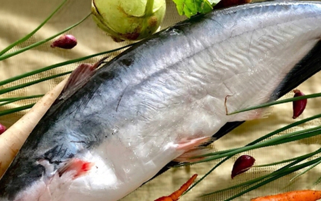 Cách phân biệt cá dứa và cá ba sa