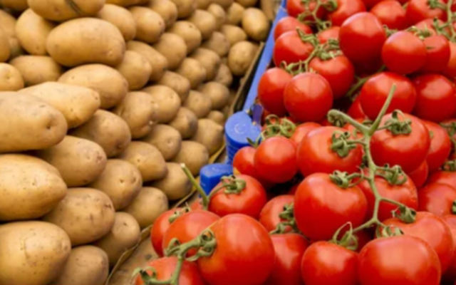 Bí mật 9 triệu năm: Khoai tây bắt nguồn từ cà chua và cây không củ ở Andes