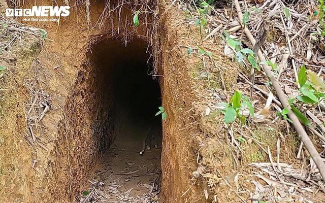 Cận cảnh những hầm vàng trái phép trong rừng phòng hộ Quảng Trị