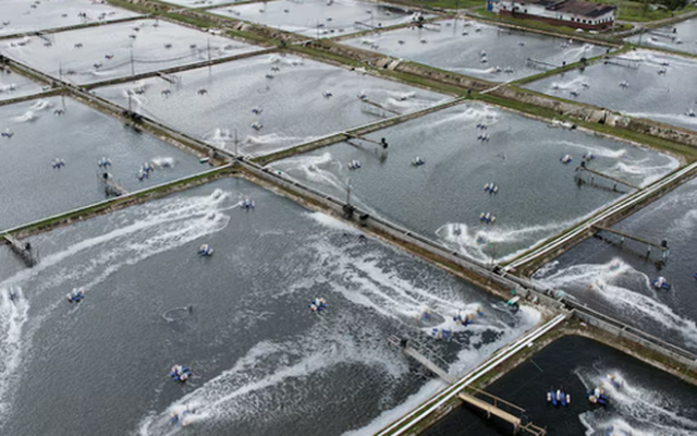 Bị Mỹ áp thuế mạnh tay với mặt hàng chủ lực, quốc gia Đông Nam Á quay xe xuất khẩu sang Trung Quốc, khẳng định: Chúng tôi có một cơ hội rất lớn ở đây!